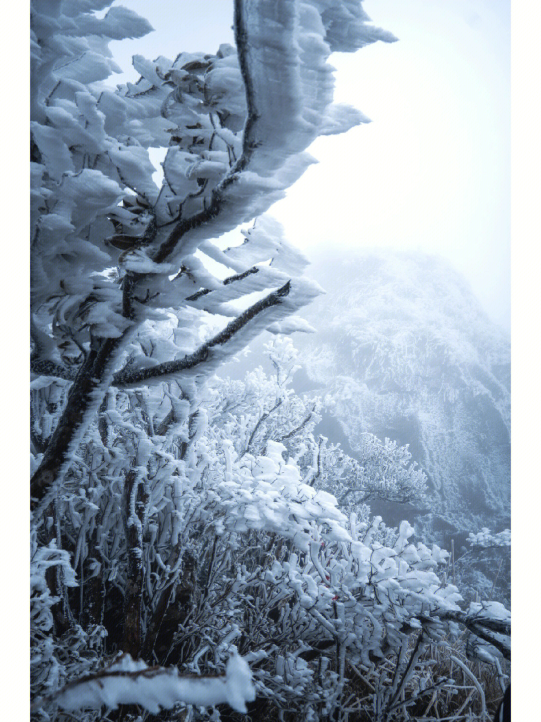 大明山丨南宁看雪的地方