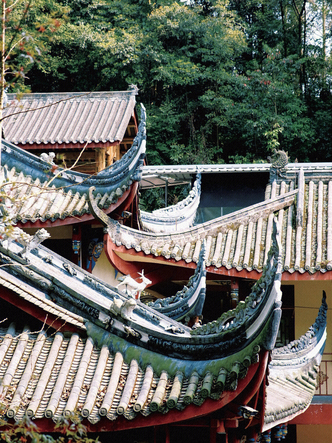 都江堰般若寺