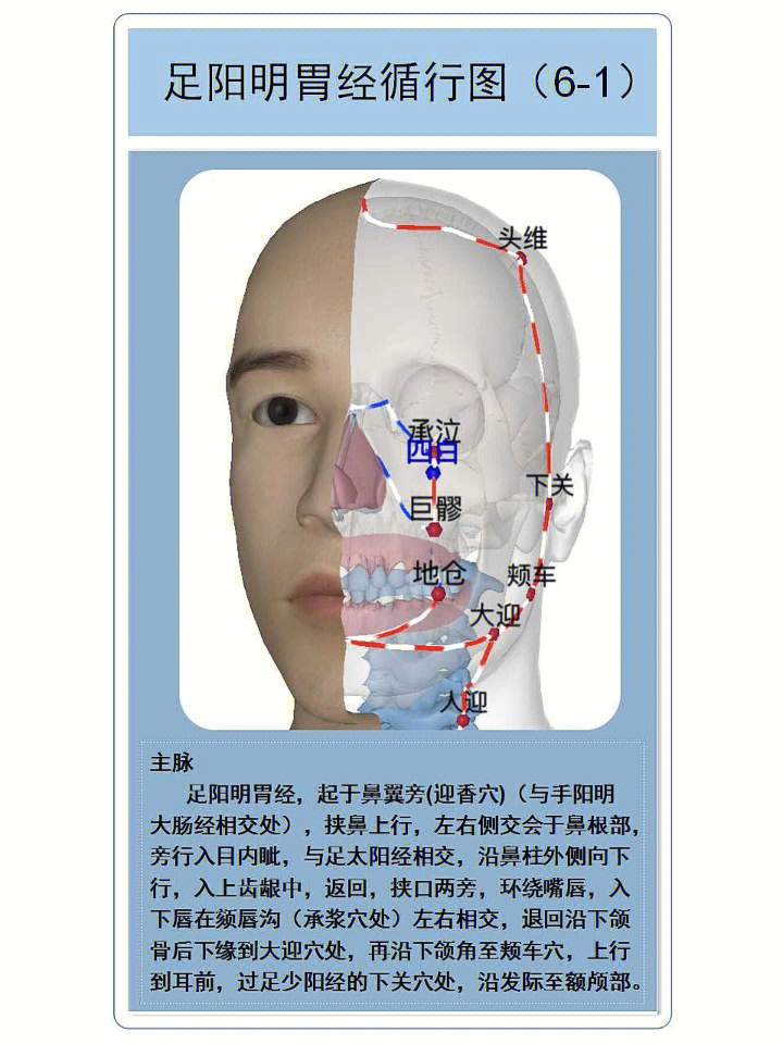 和小伙伴相约一起学习人体经络,知己知彼,防病治病