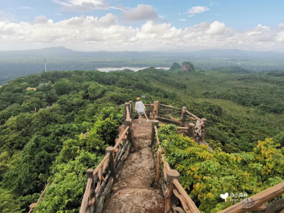 白石岭山顶图片