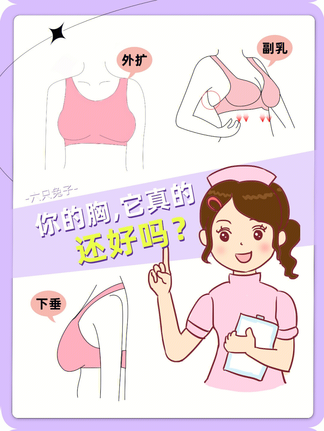 乳房四个象限图片