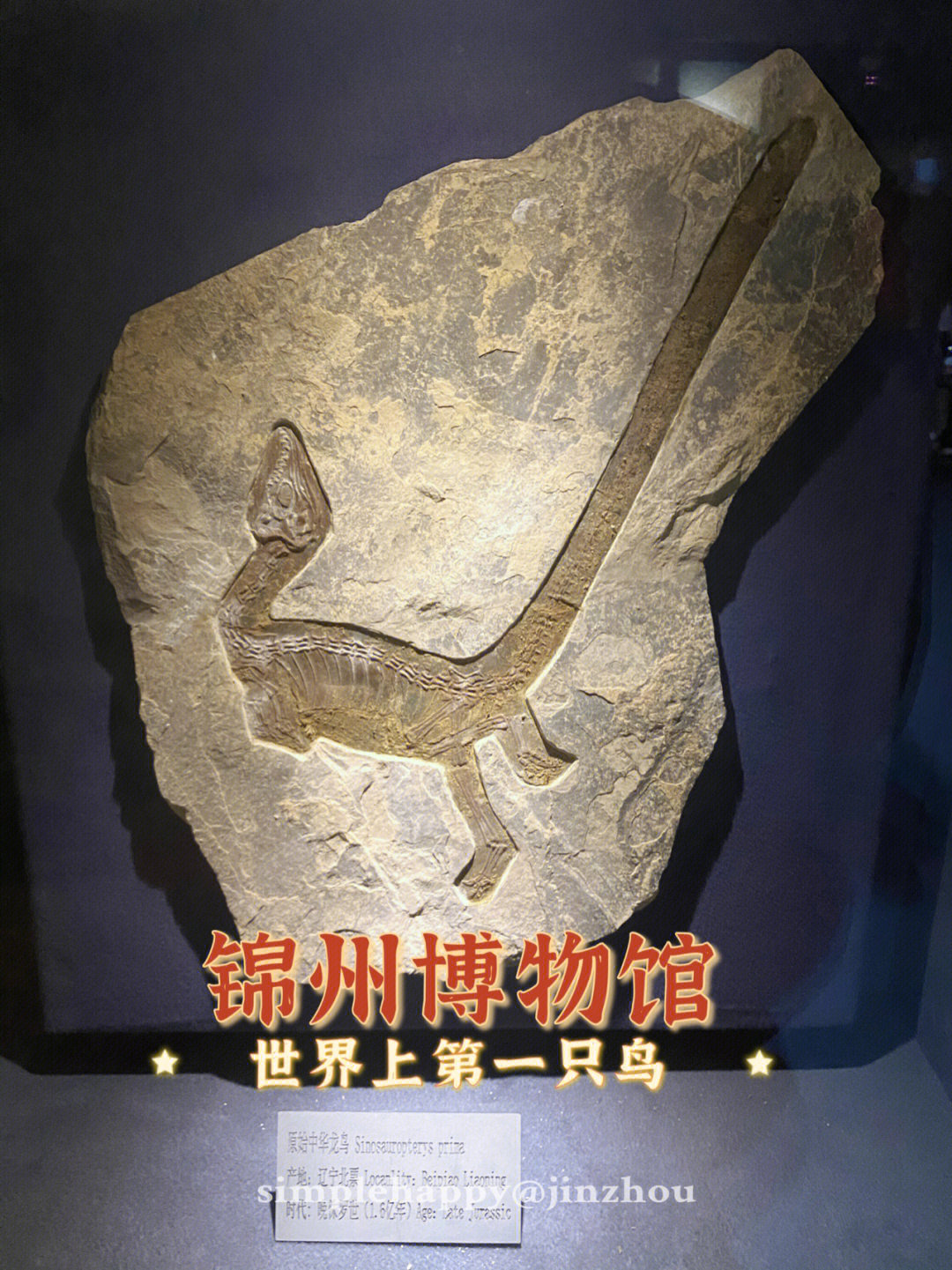 锦州古生物博物馆图片