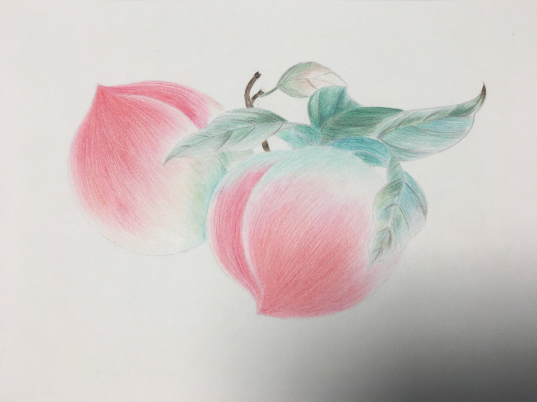 彩铅临摹第一幅桃子