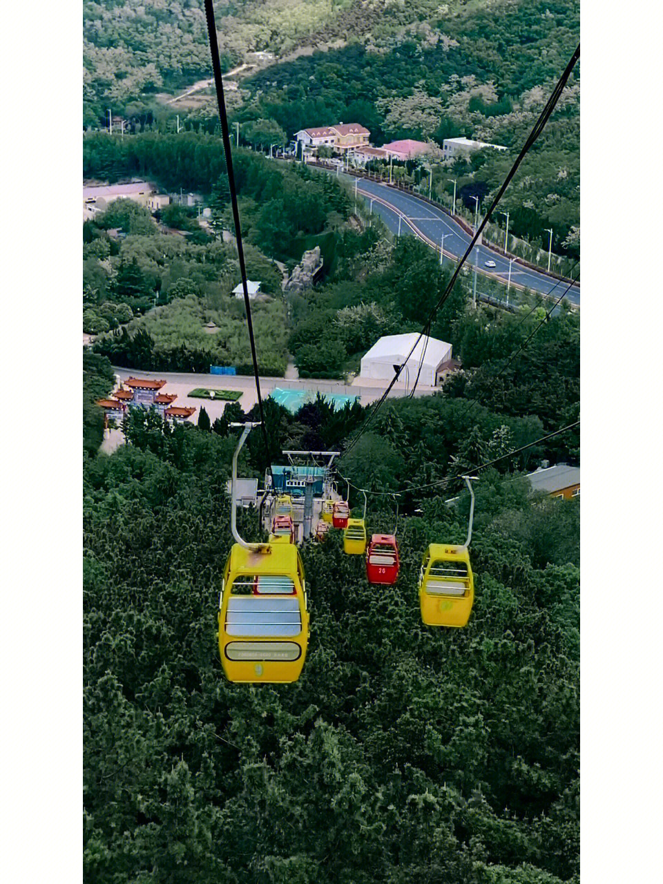 plog烟台塔山坐缆车森林吸氧治愈06