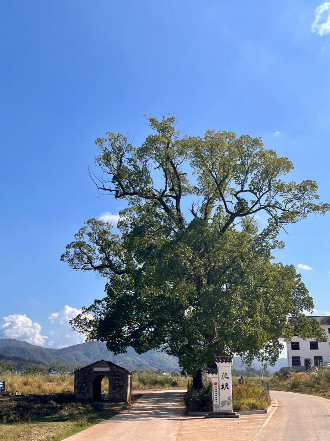 江西小众景点乐安流坑古村