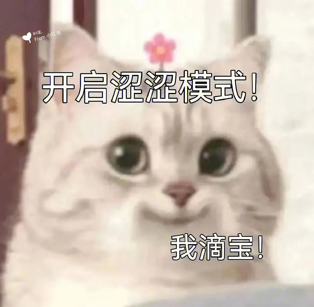 最近超火的邪魅猫猫表情包