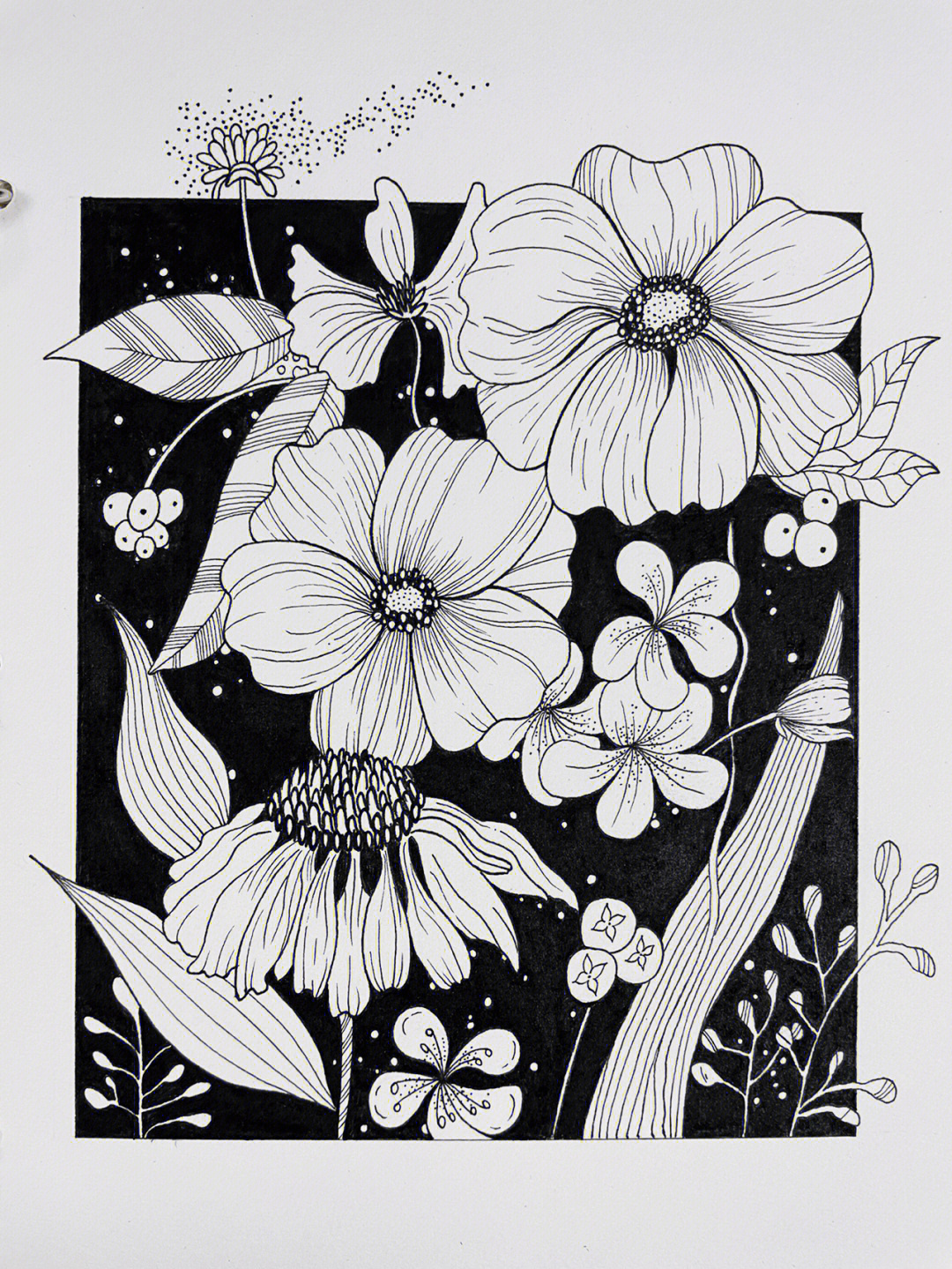 no63黑白装饰画针管笔练习植物手绘