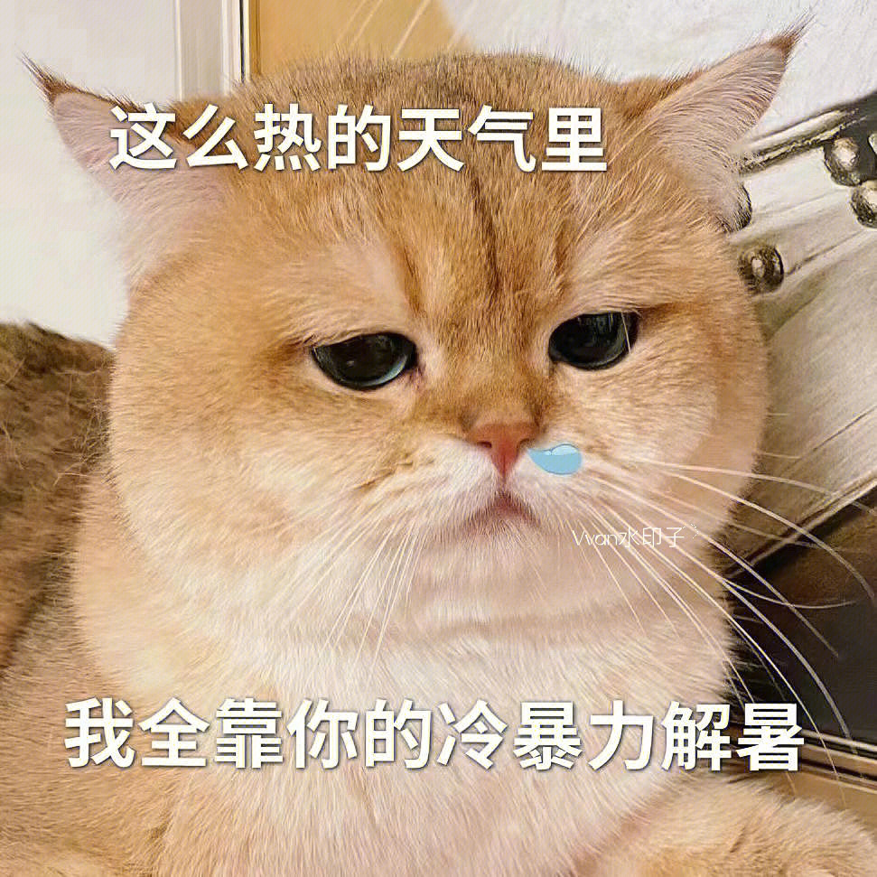 没必要冷暴力表情包图片