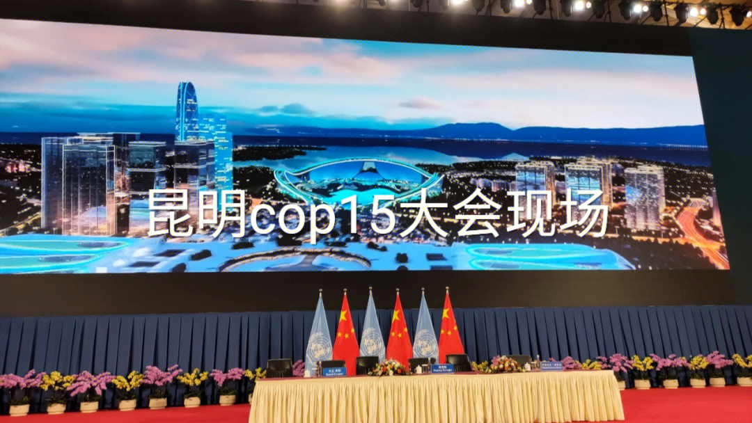 第十五次缔约方大会(cop15)第一阶段会议举办场馆—昆明滇池国际