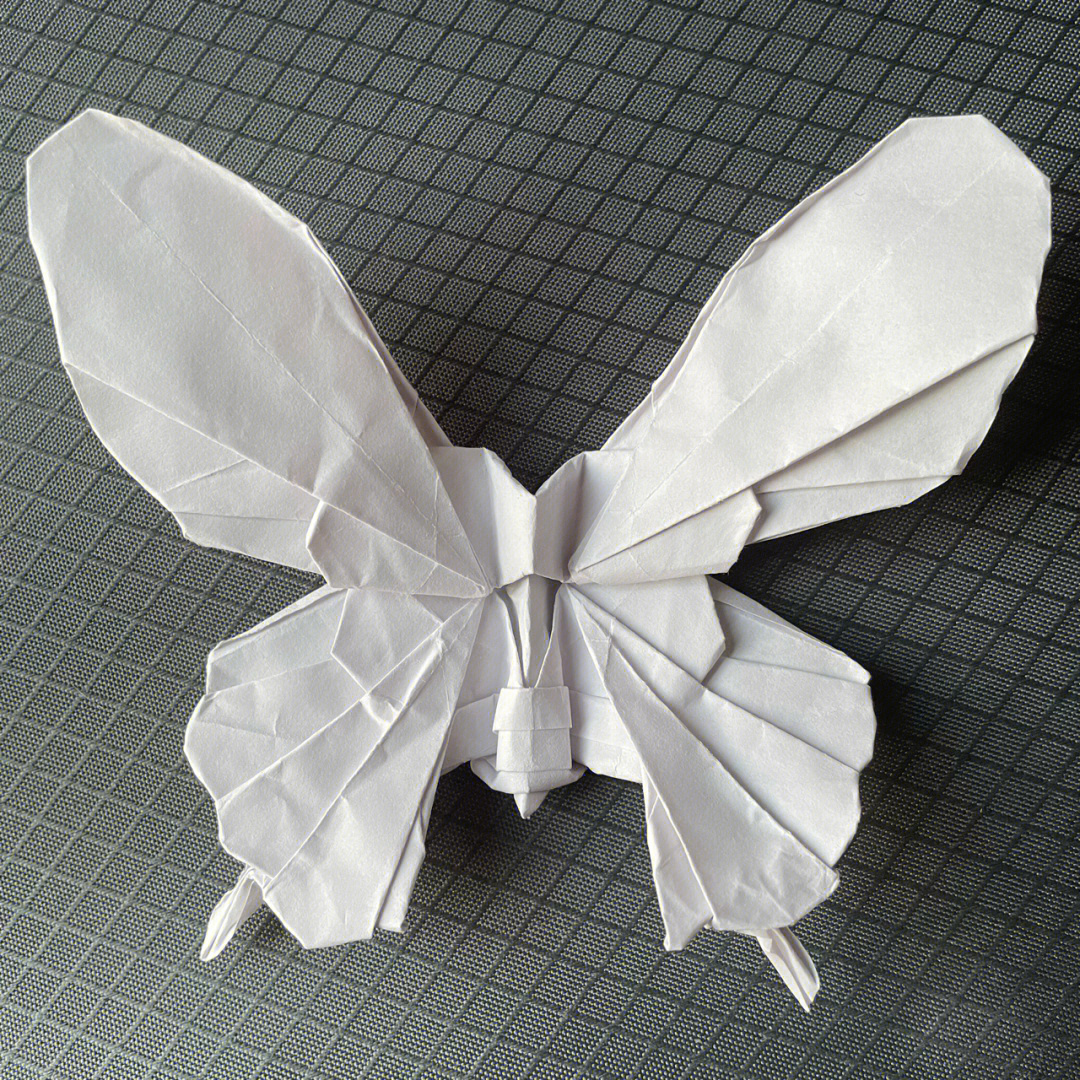 纸蝴蝶成功
