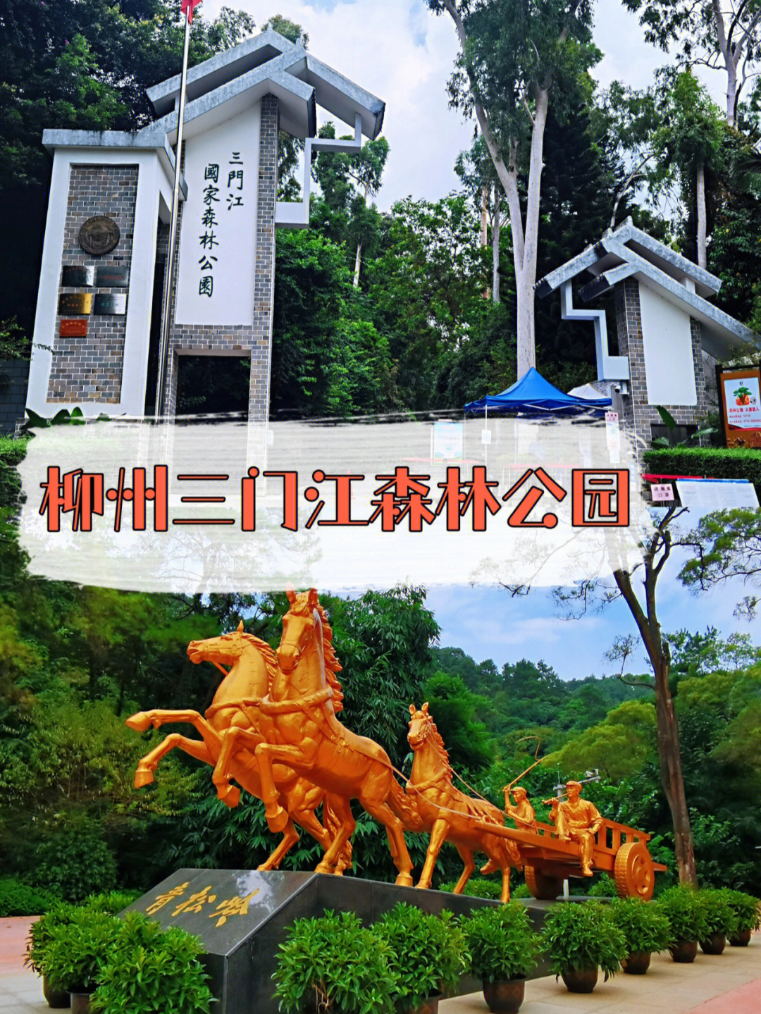 柳州三门江森林公园图片