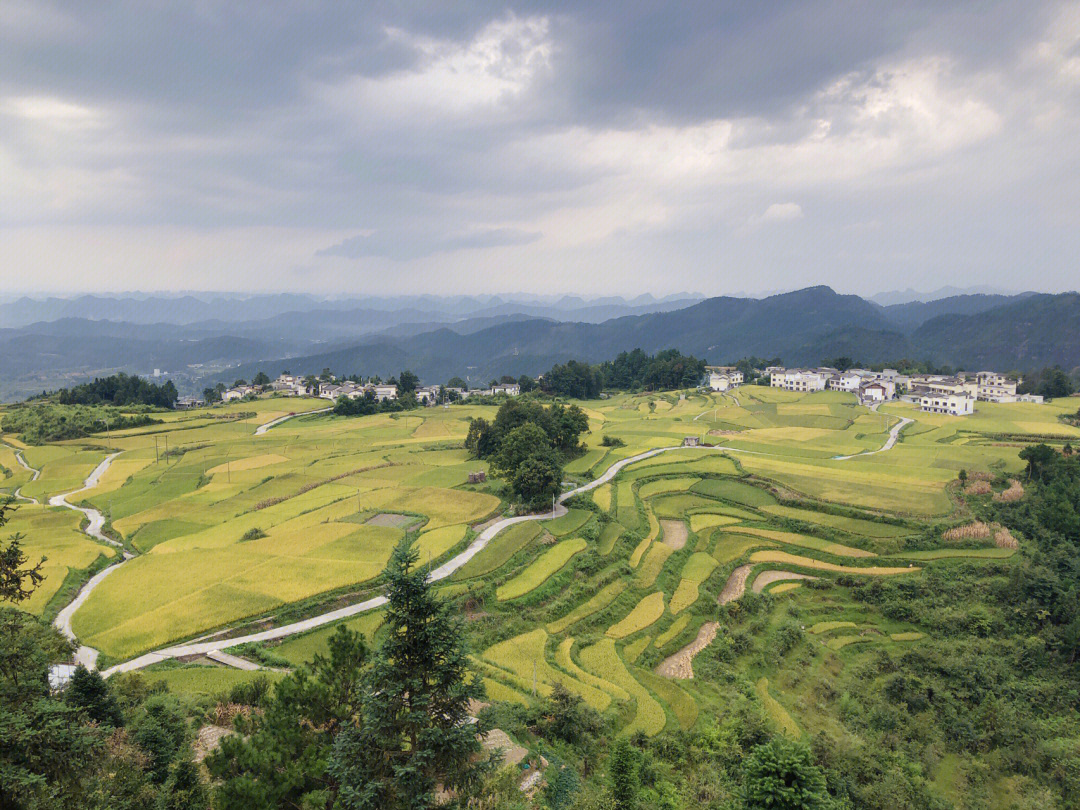 贵阳高坡梯田