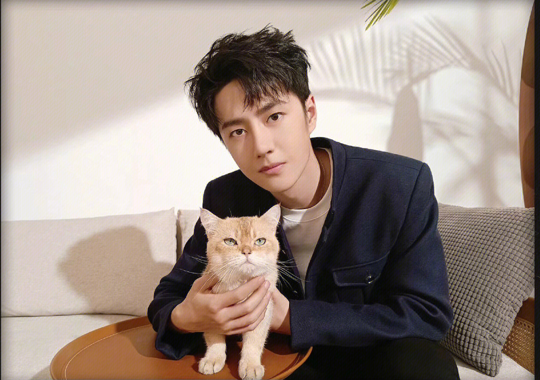 王一博和他的猫日常