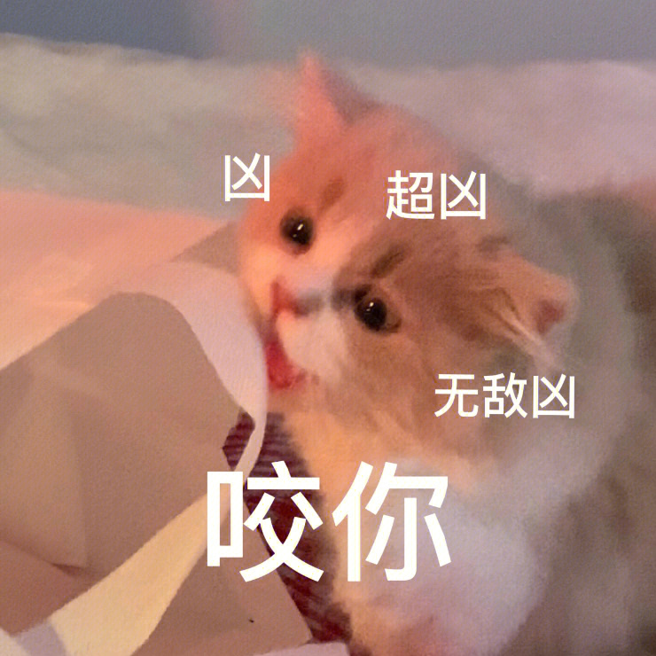 猛啾嗷呜~啾!图片