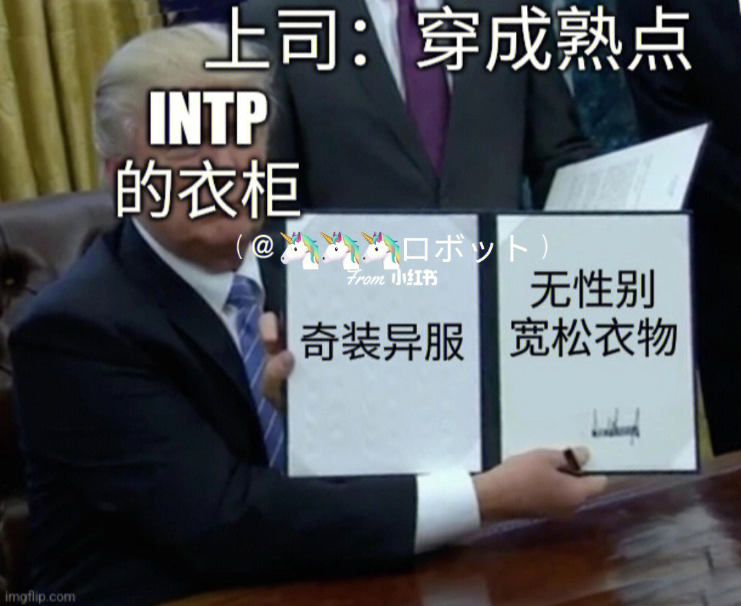 intpmeme图片