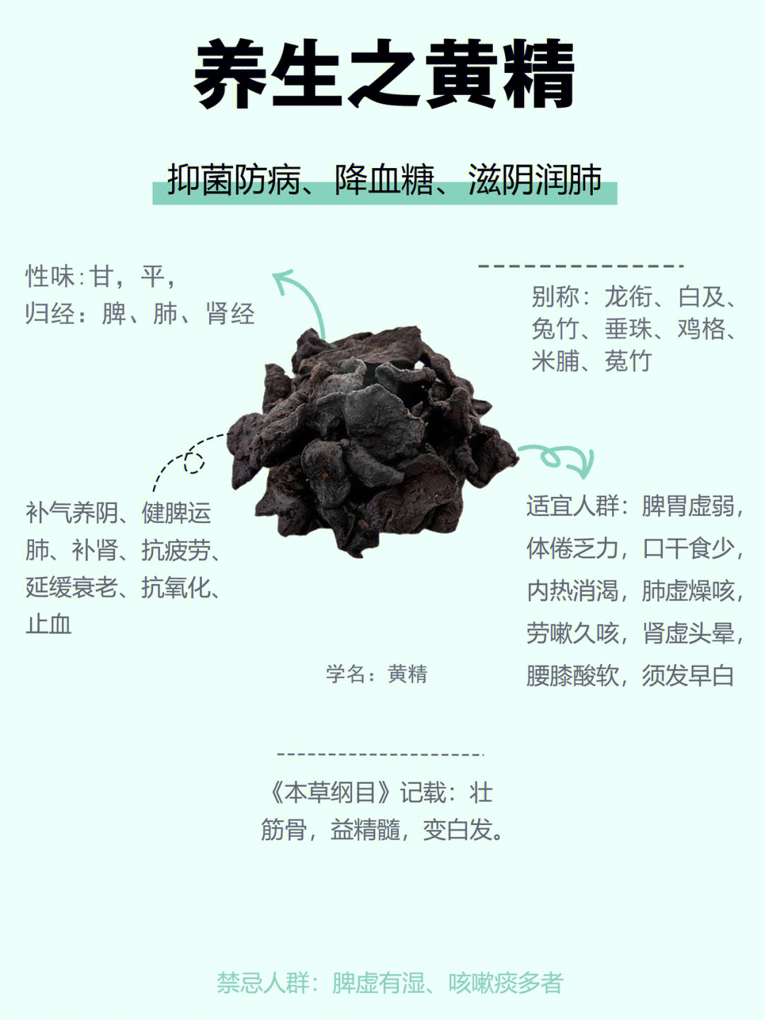 黄精的十大功效与作用图片