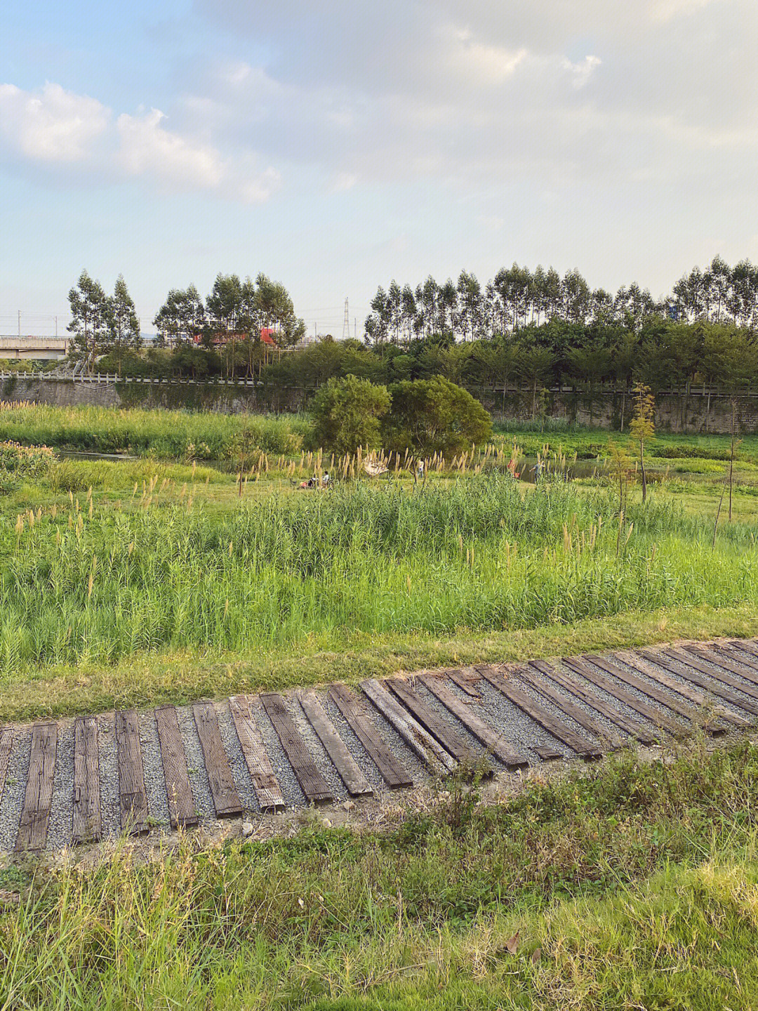 三江口湿地温泉公园图片