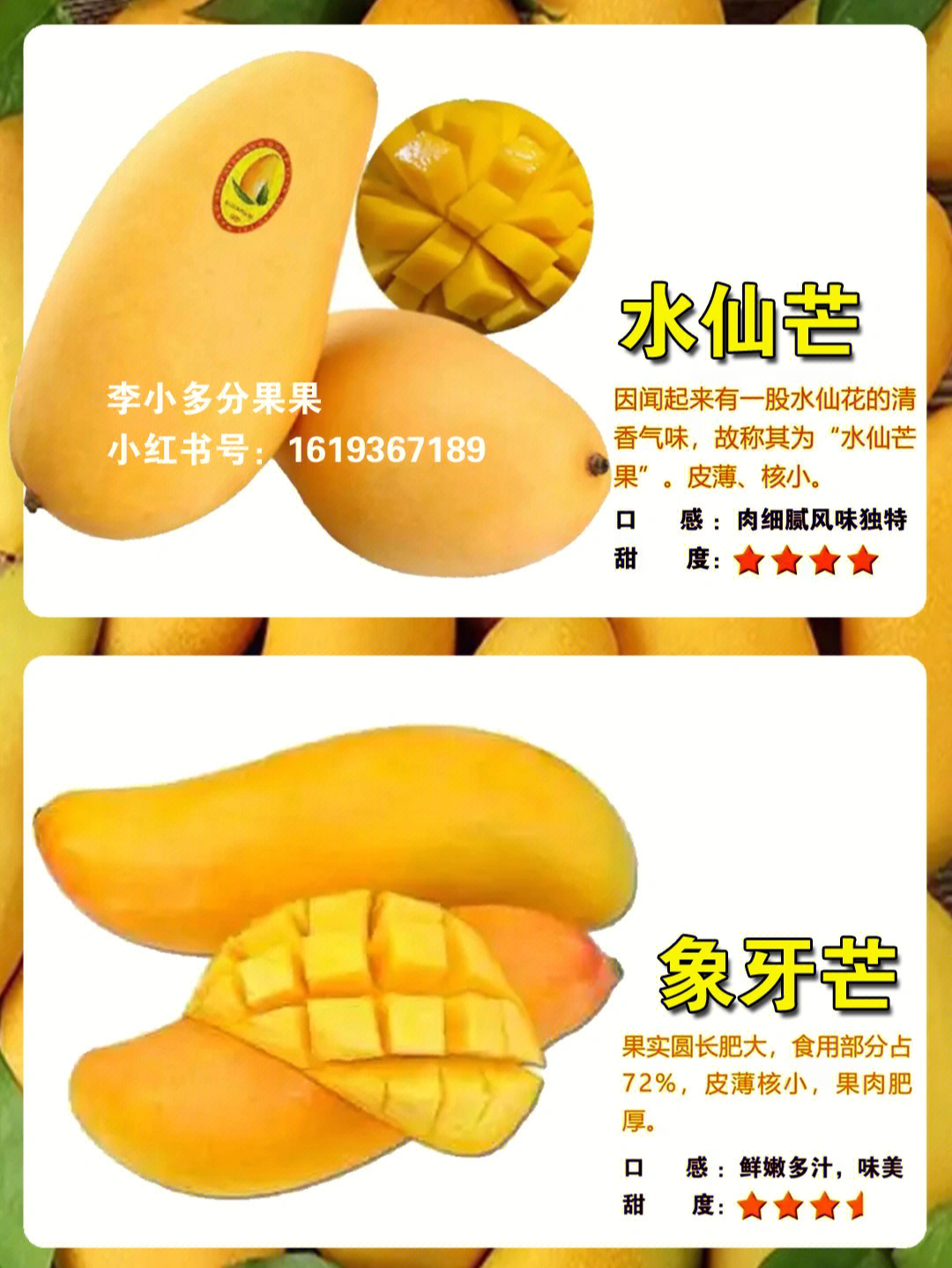 芒果的种类及口味