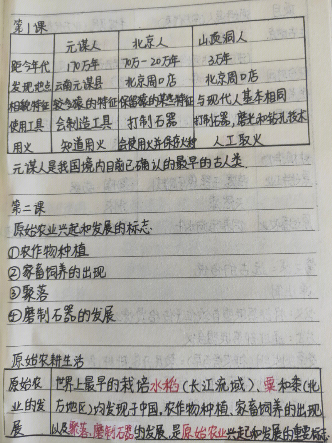 七年级上册历史第一单元所有笔记和第一单元