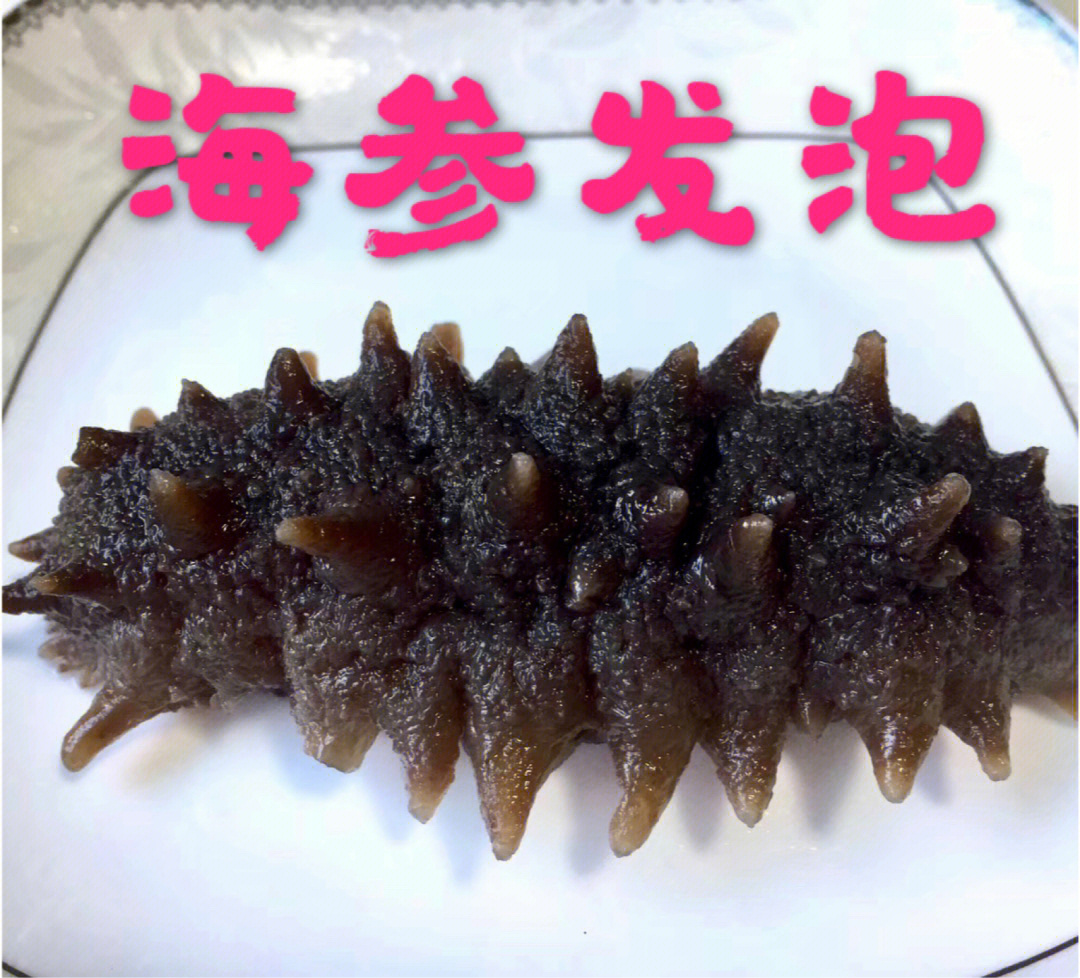 泡发海参手把手教新手泡发和食用烟台海参