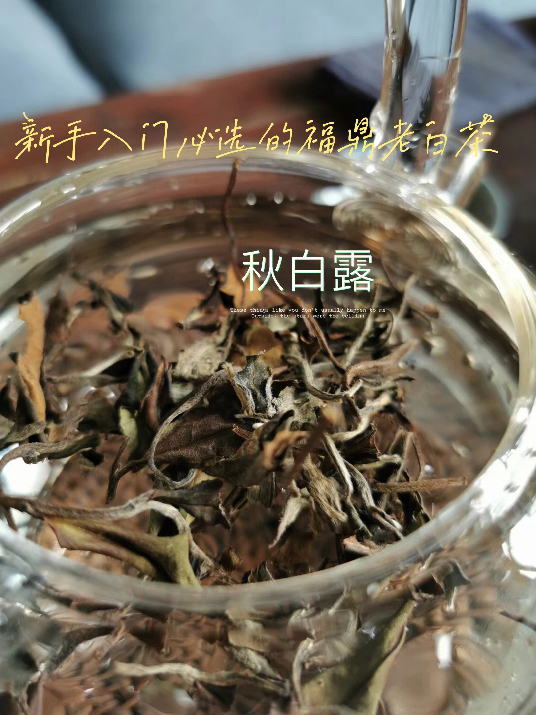 推荐给新手入门的16年福鼎老白茶秋白露茶