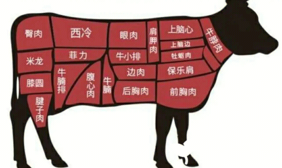 牛肉分解图高清名称图片