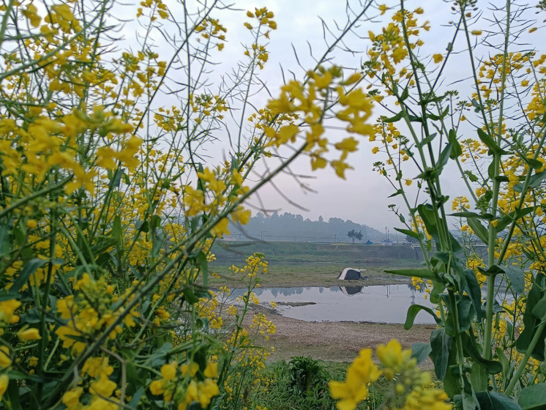 两河村的清晨