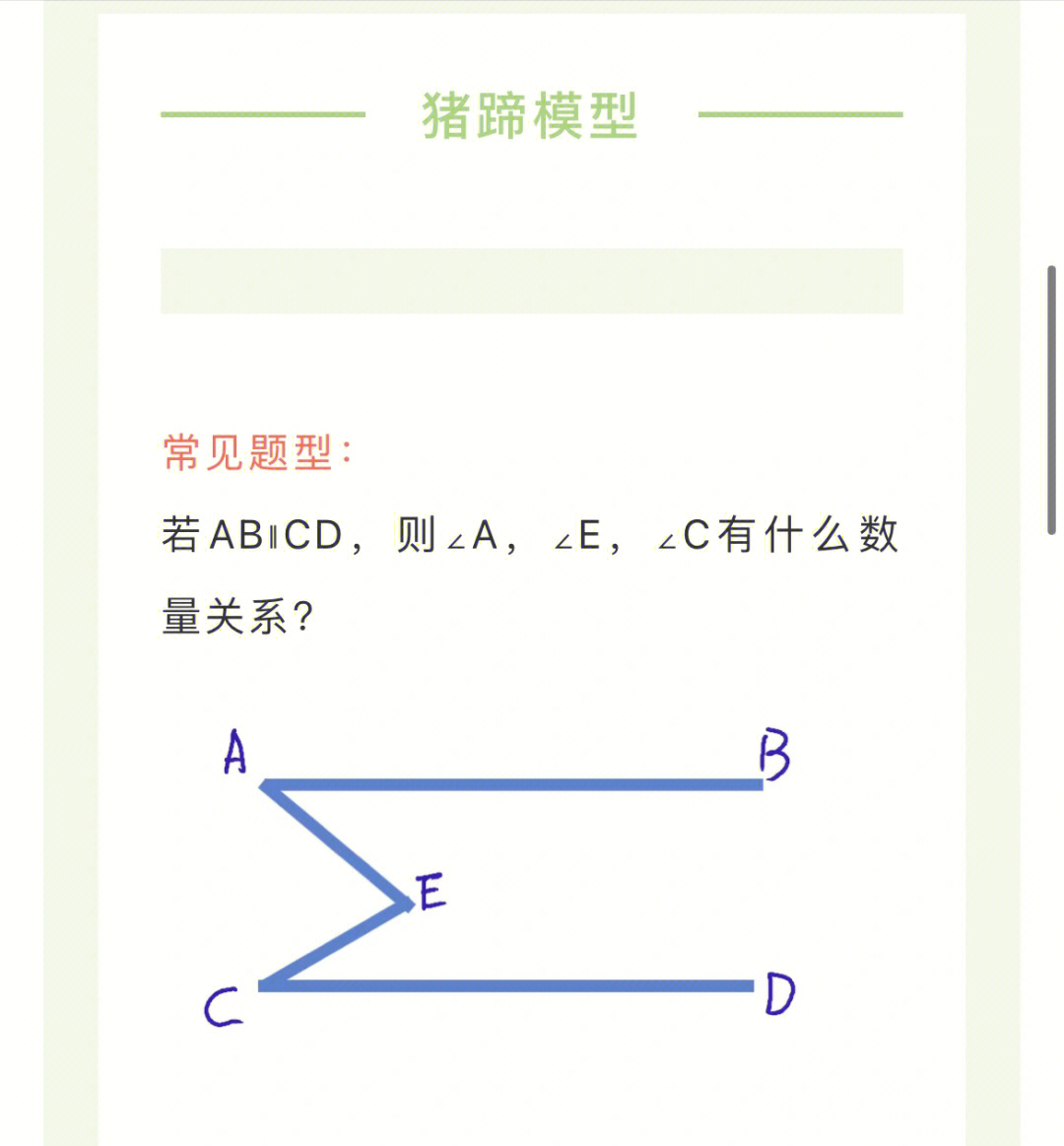 数学猪蹄模型图片