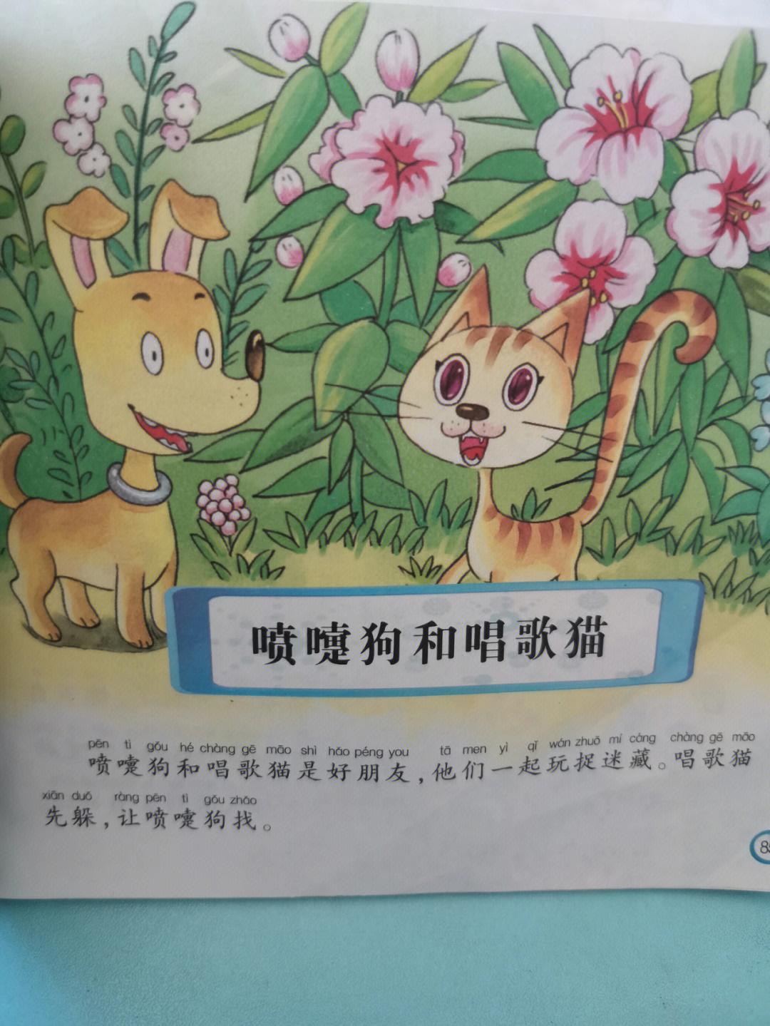 喷嚏狗和唱歌猫