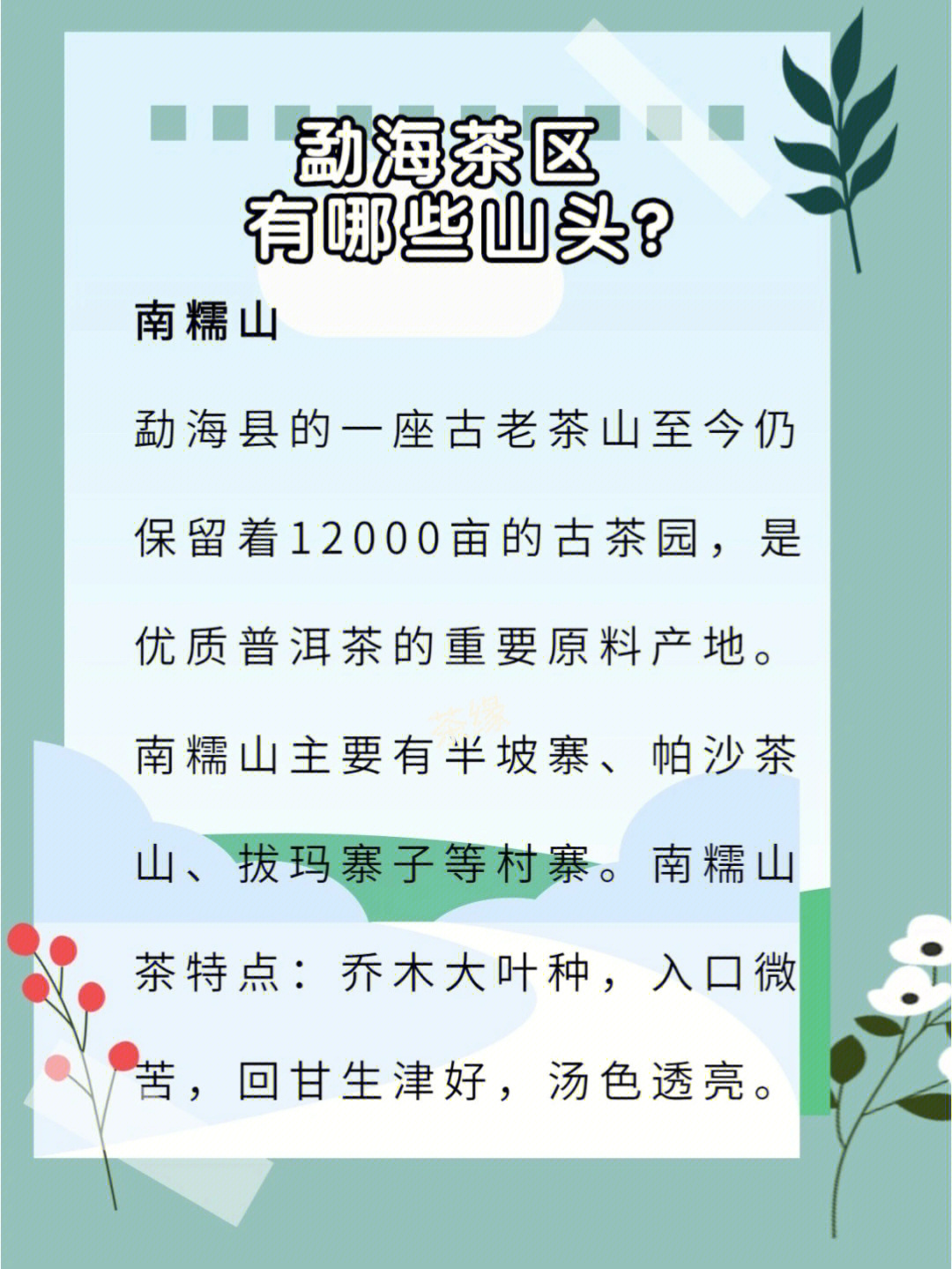 勐海茶区著名茶山介绍图片