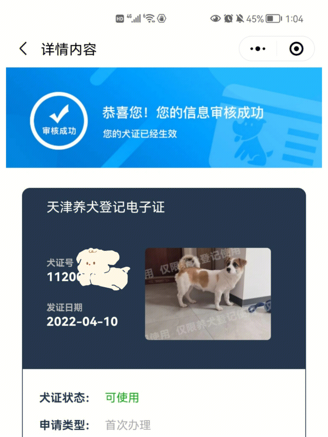 天津狗证狗牌图片图片