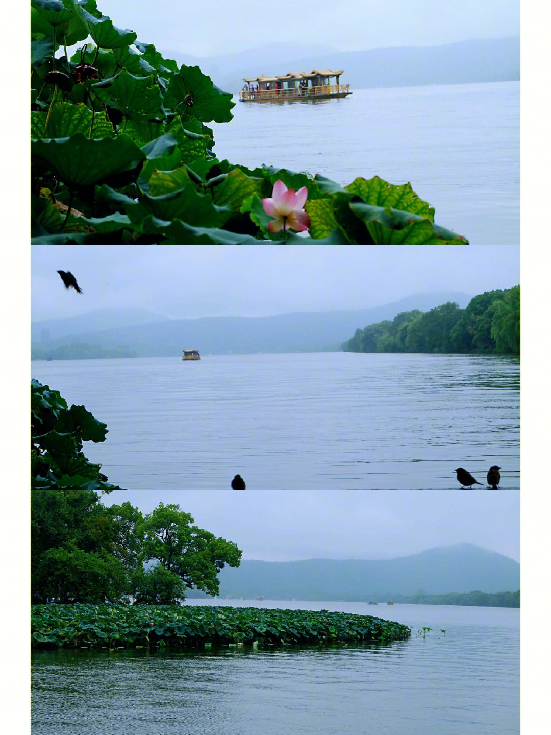 因为旁边有游船码头,游客大都匆匆路过,其实这边的雨后西湖特别出片