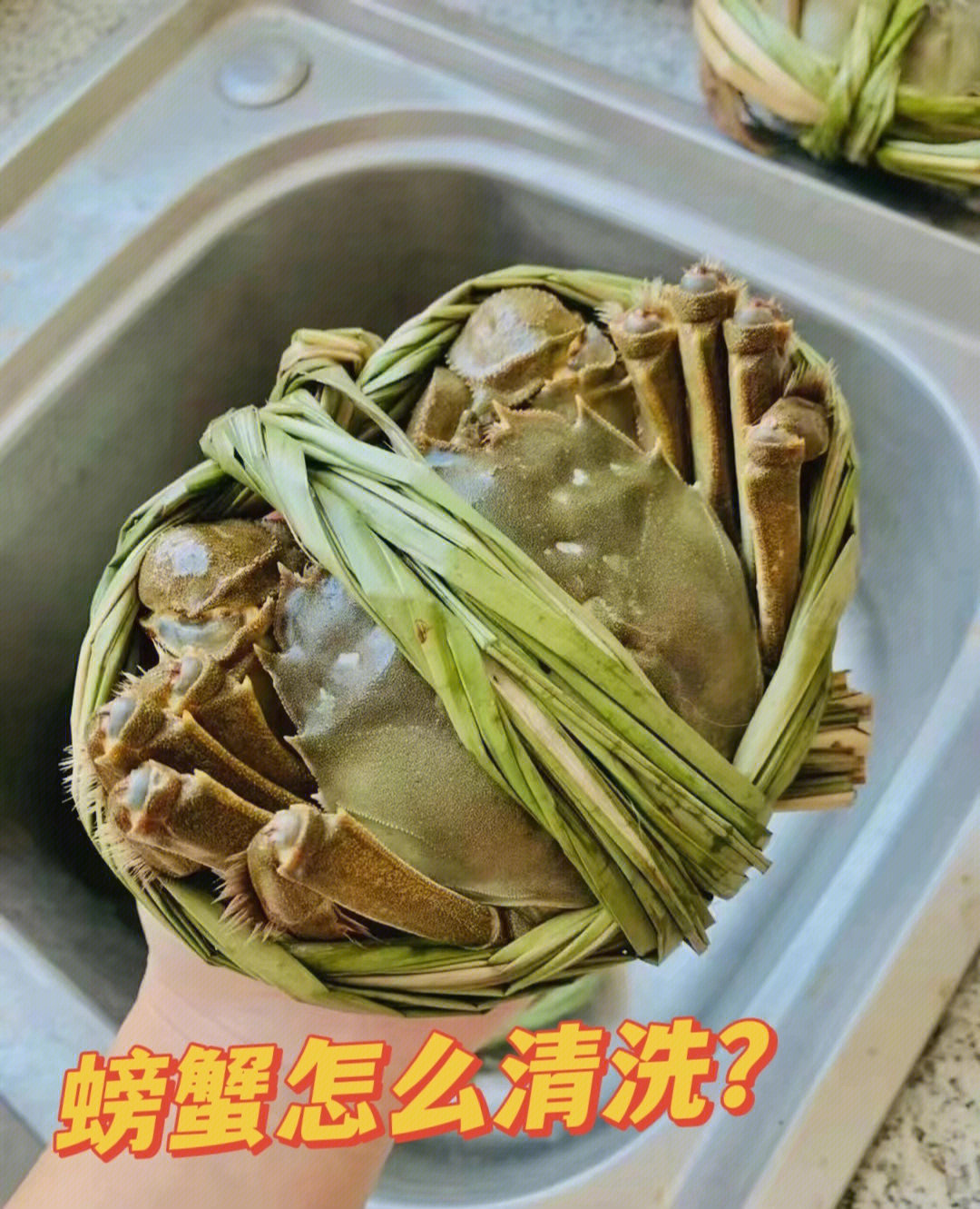 清洗待清蒸螃蟹的方法:1.