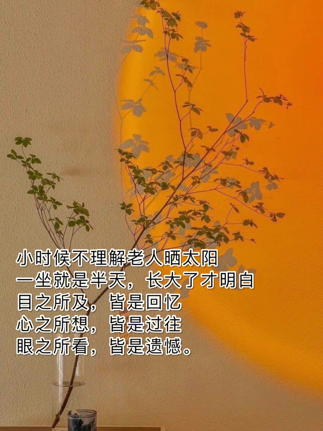 才明白,目之所及,皆是回忆,心之所想,皆是过往,眼之所看,皆是遗憾94