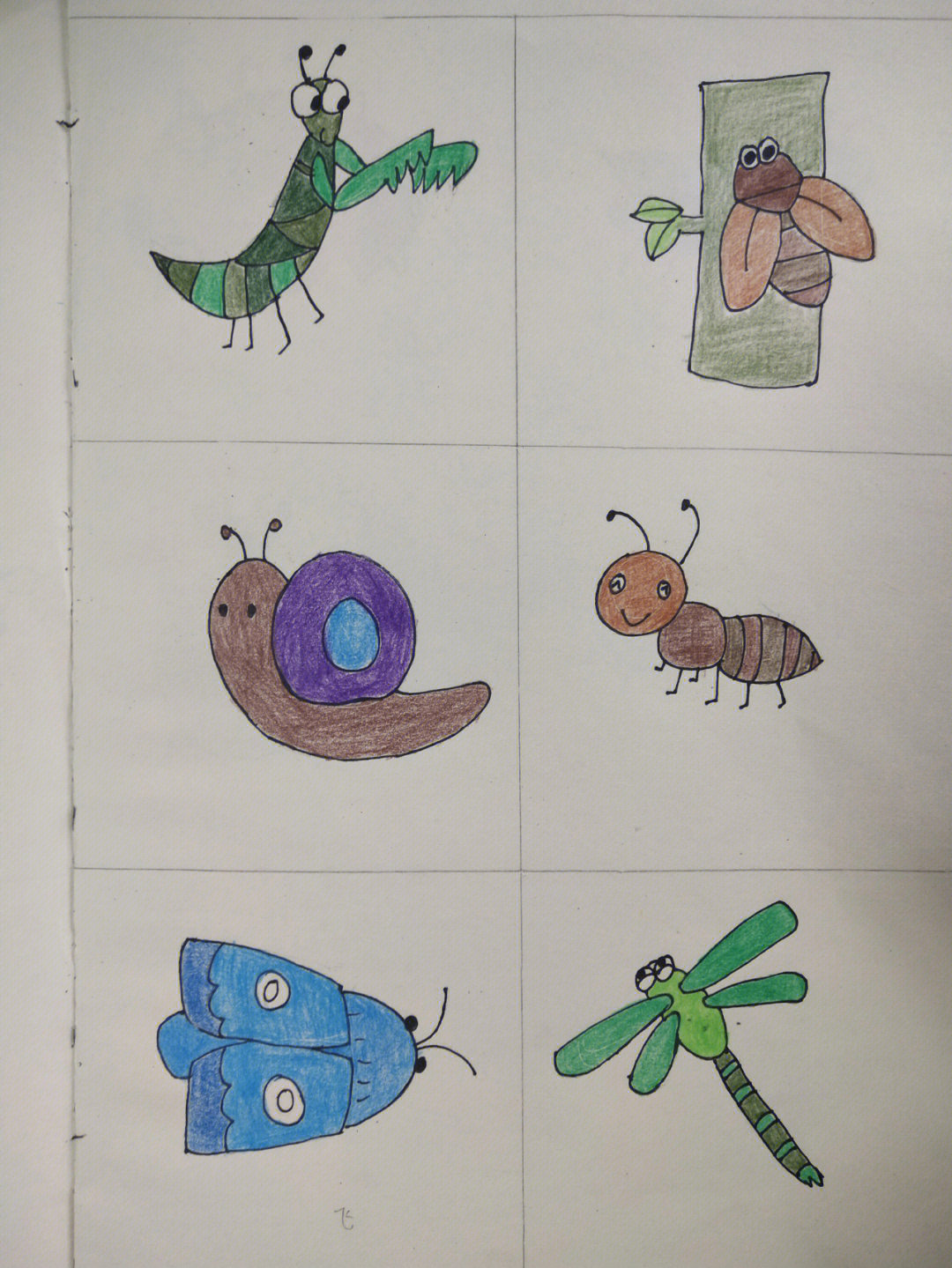 昆虫简笔画彩图图片