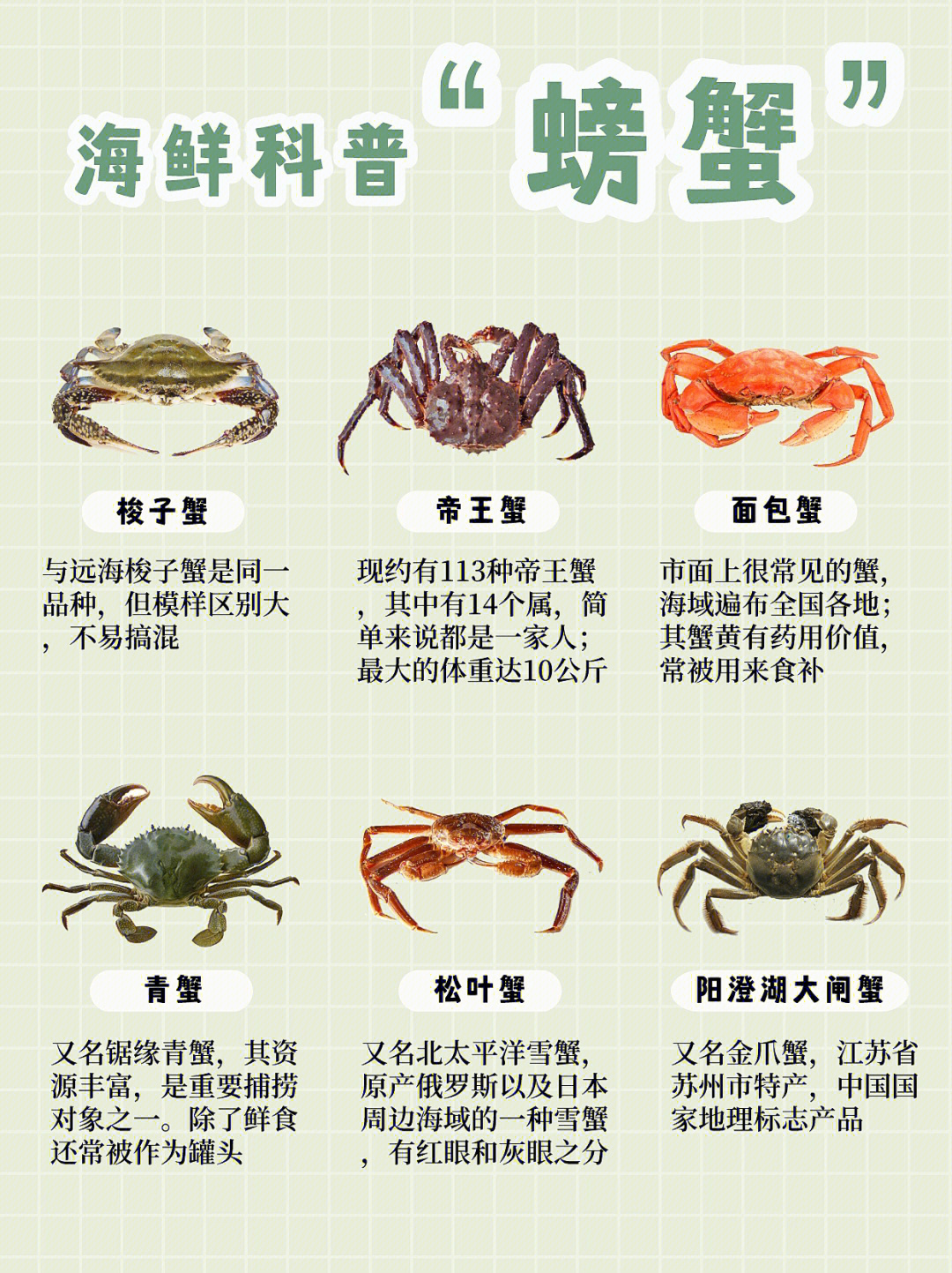 海鲜科普6种螃蟹品种与做法详解78一学就会