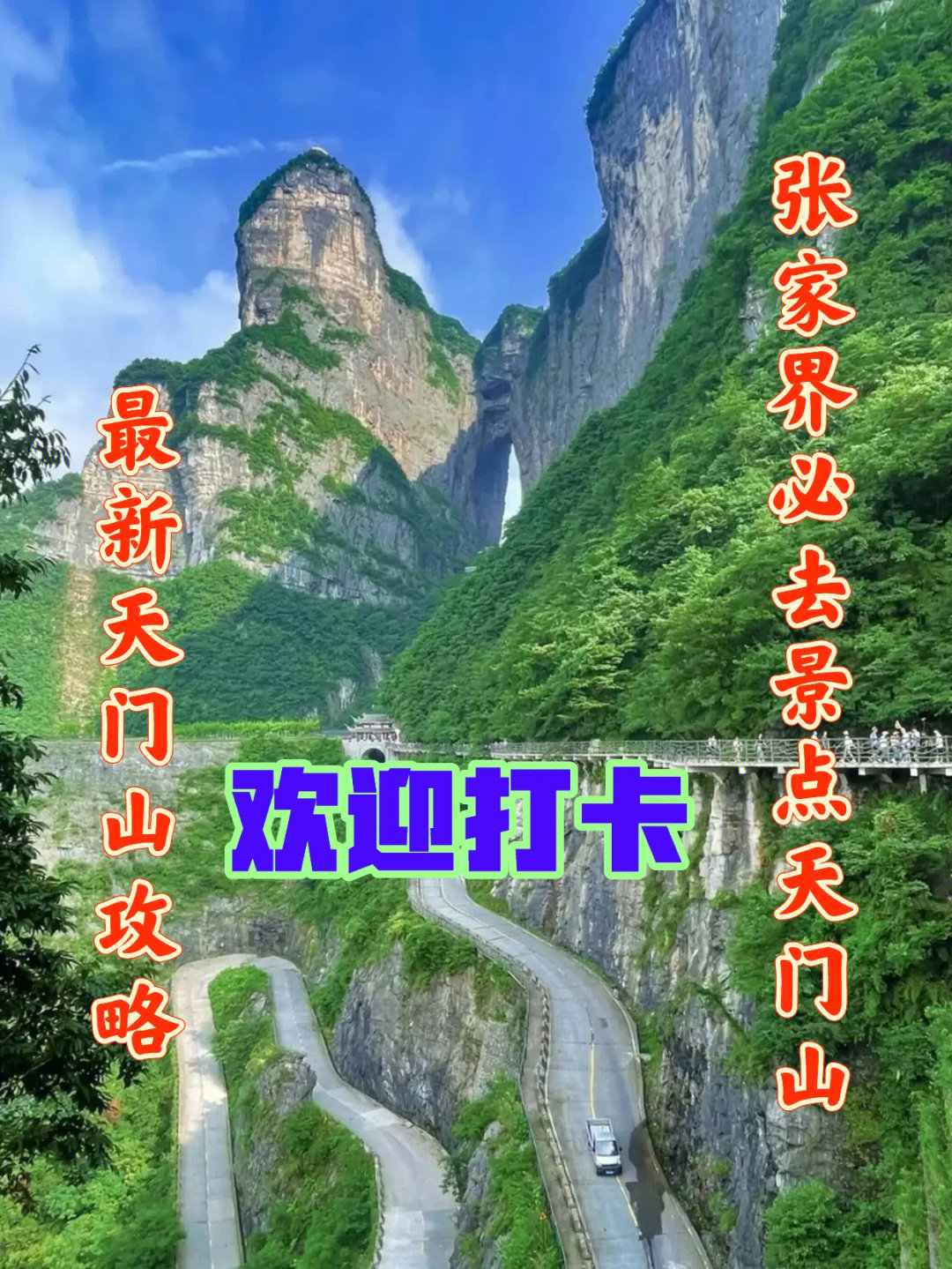 张家界森林公园logo图片