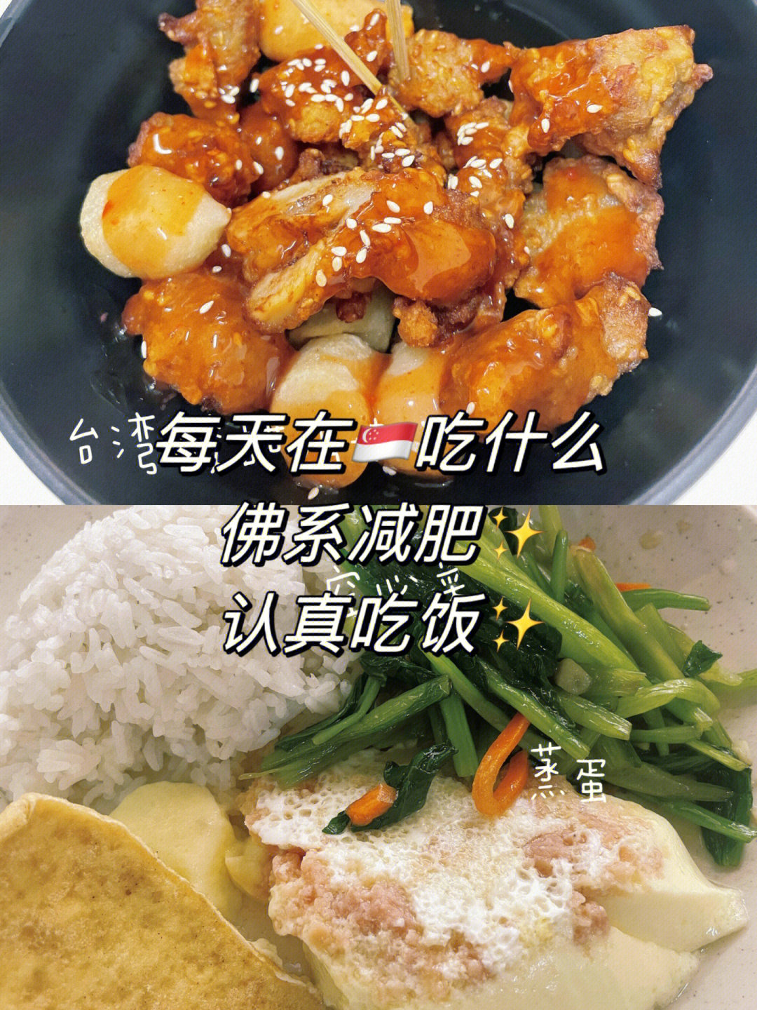 新加坡杂菜饭图片