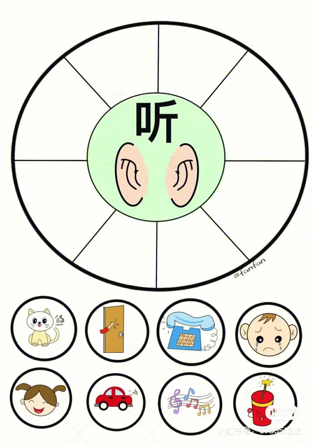 区域材料认识五官