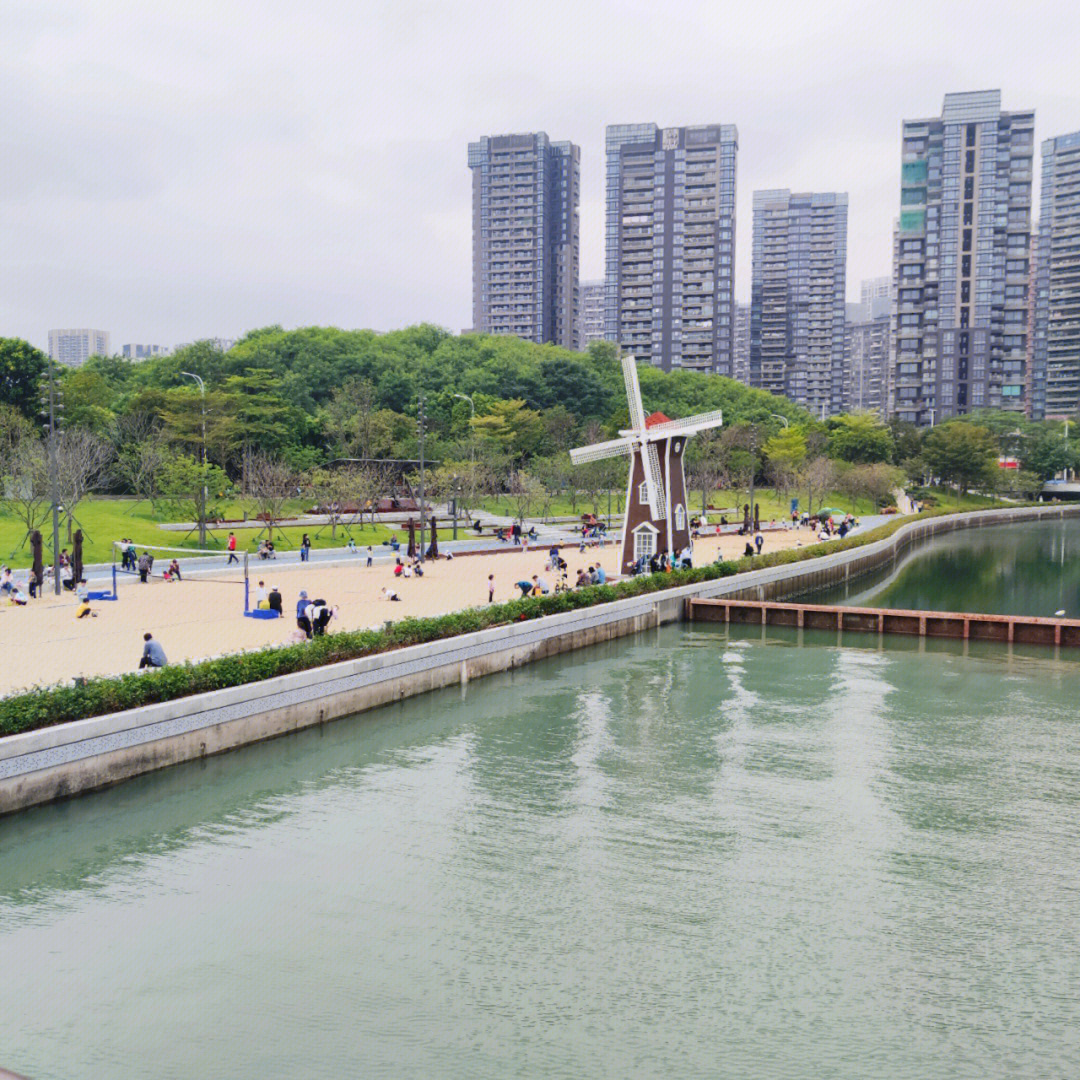 深圳湾公园运动图片
