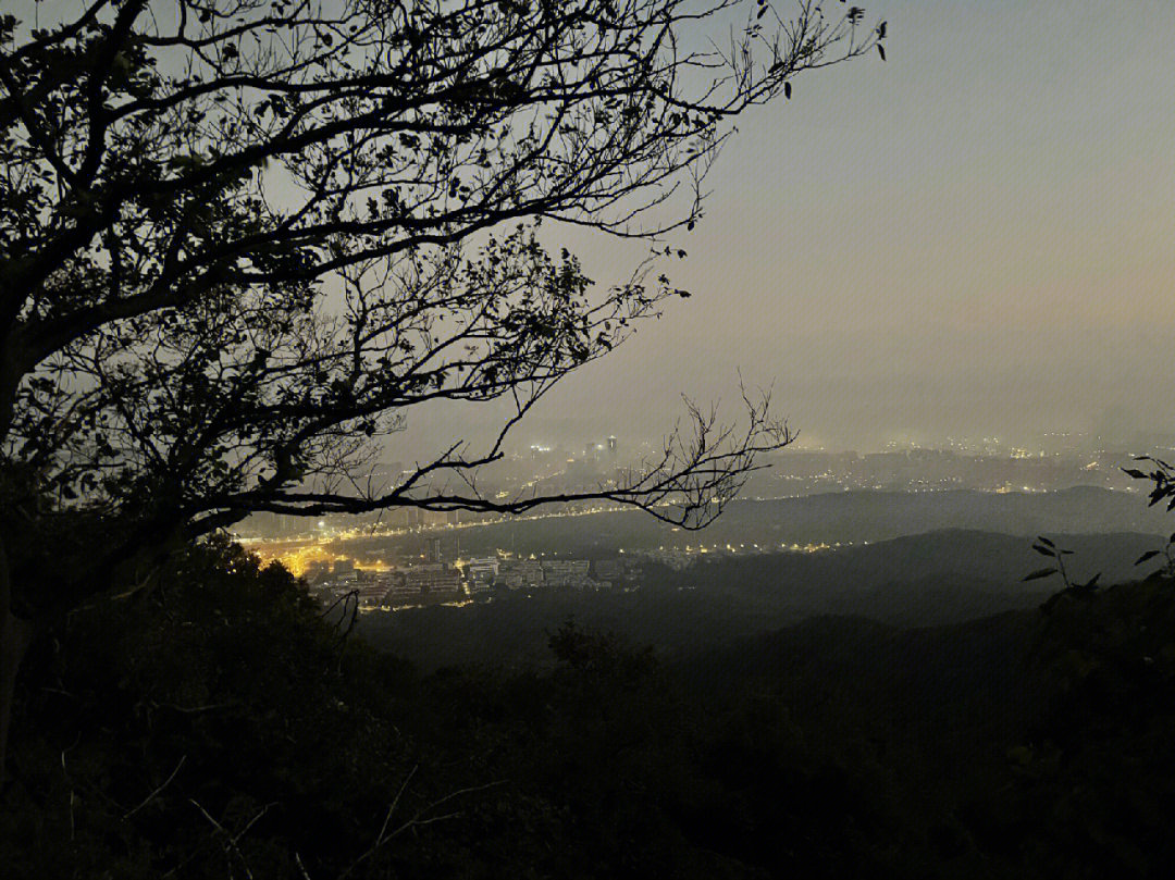 紫金山第一高峰图片