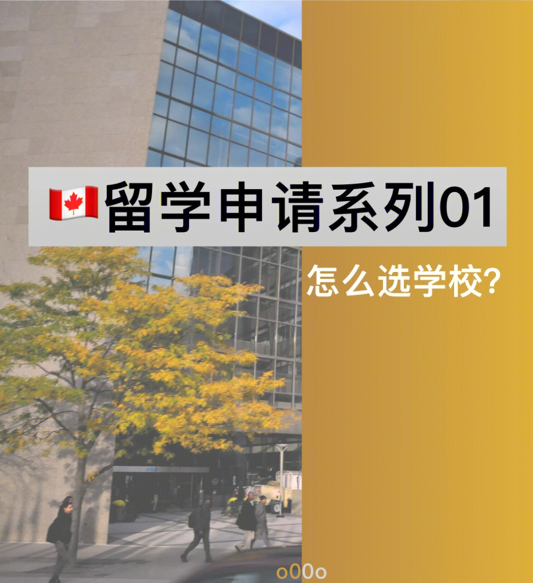 学会计去哪个学校好_学会计那个学校好_赣州学会计哪个学校好