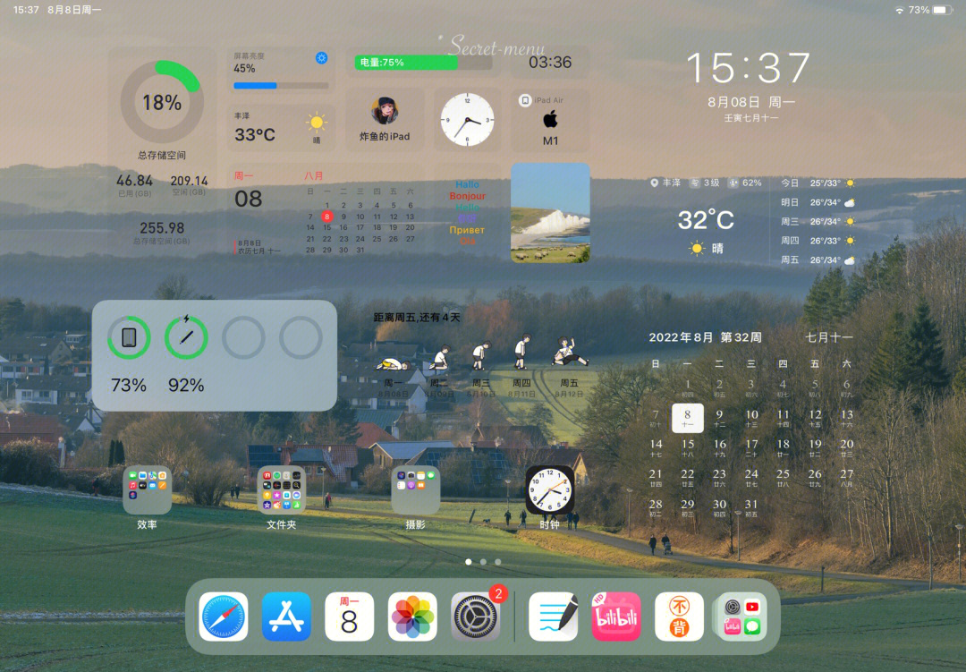 ipad桌面整理超喜欢绿色06夏天的感觉