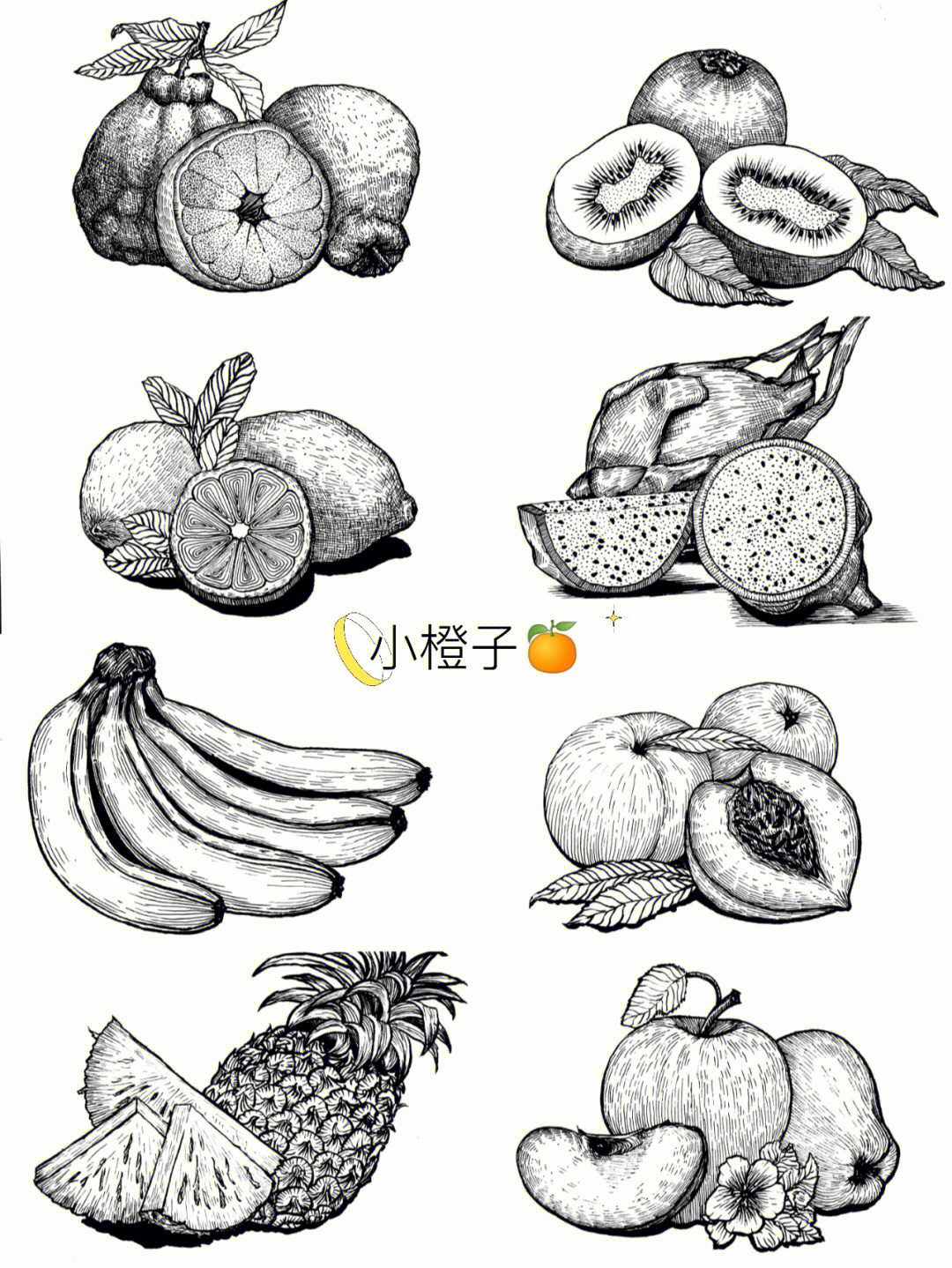 水果线描画简单图片