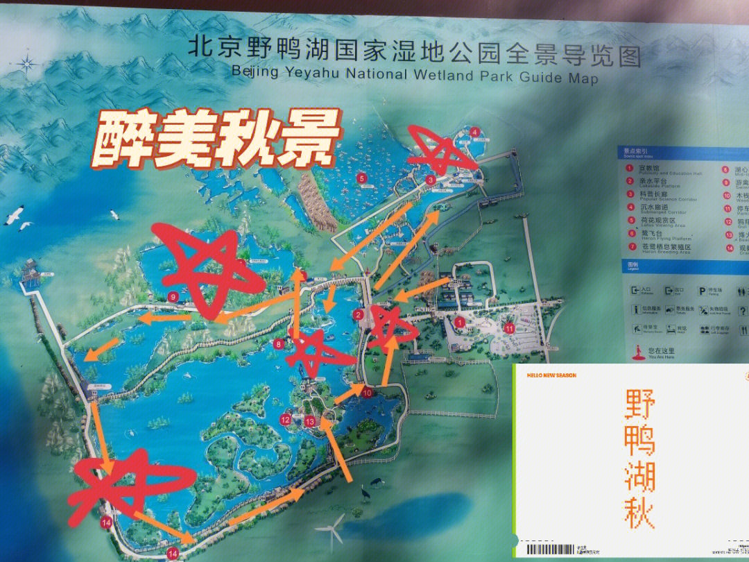 北京的秋天一定要去一趟野鸭湖,此次延庆之行第二站是野鸭湖,第一站是