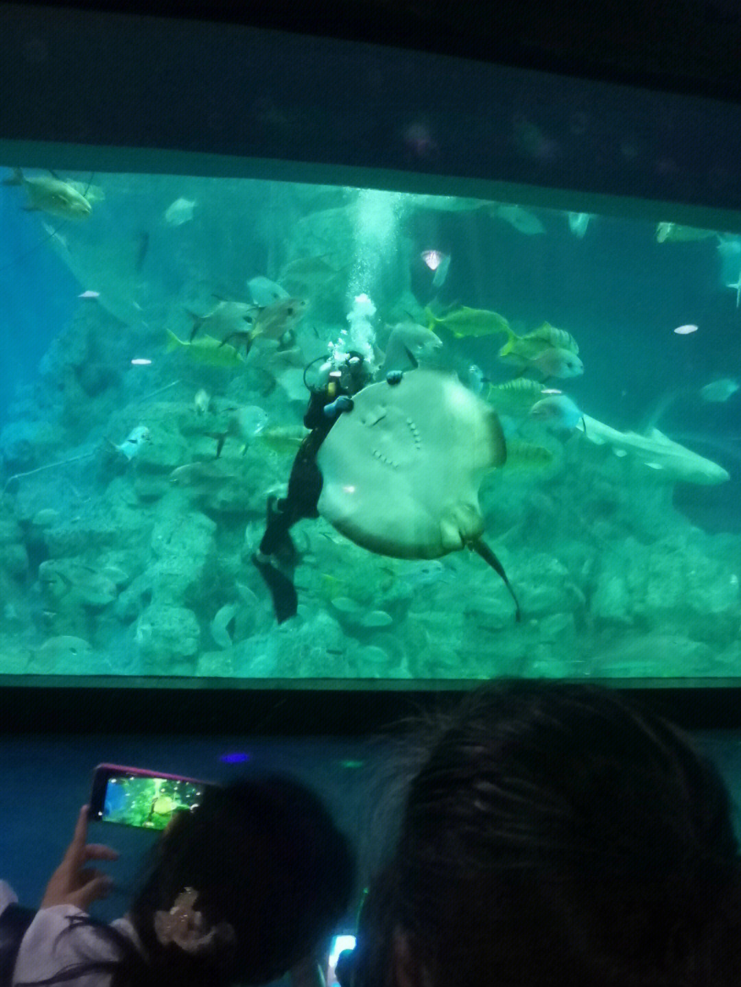 银川悦海新天地海洋馆图片