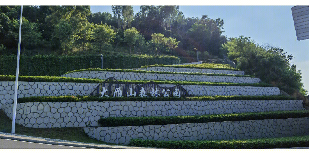 大雁山森林公园门票图片