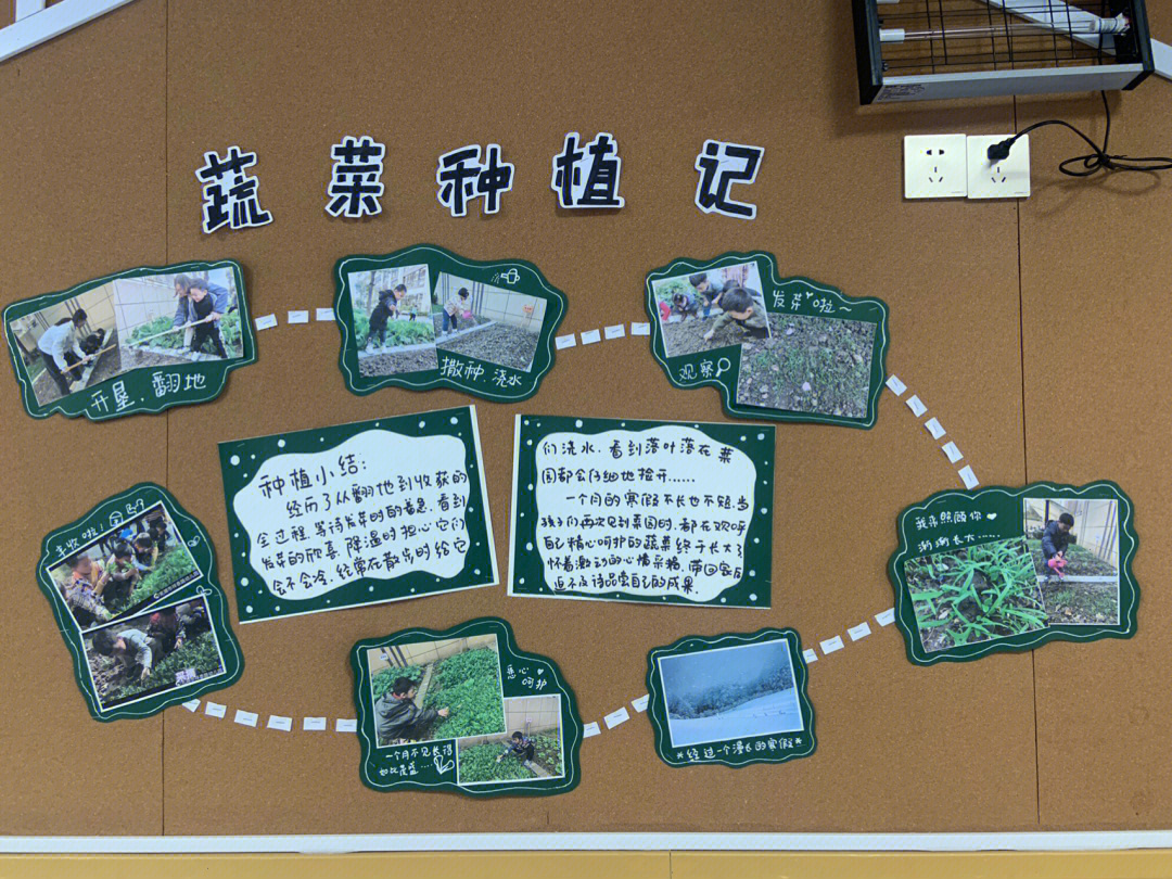 幼儿园种植活动简报图片