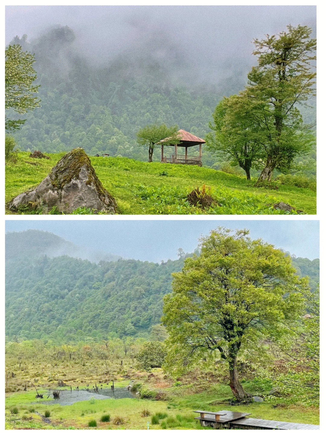 和你一起去看山川湖海