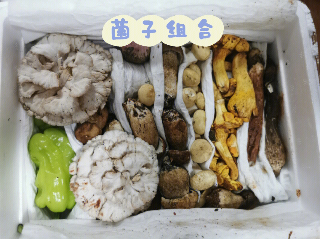 菌子鸡火锅